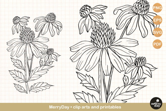 Download Coneflower Summer Flower Clip Art - Flow Collection
