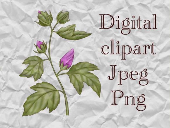 Download Hibiscus Flower Branch Clipart - Flow Collection