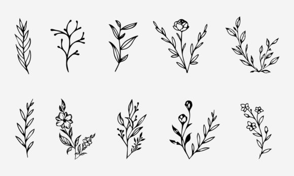 Download Flower Line Drawing Vector Illustration - Flow Collection