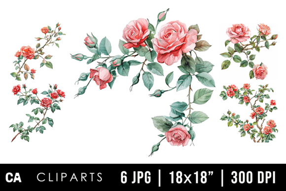 Download Watercolor Rose Flower Branch Cliparts - Flow Collection